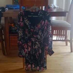 Xl long sleeve express dress